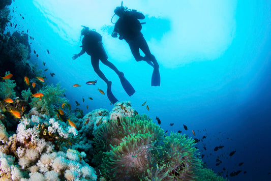 What does Scuba Diving add to your life?
